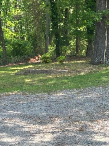 Serene Retreat! 420 Friendly In Designated Area, 3 Minutes To Downtown Richmond Bagian luar foto